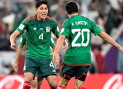 开云体育app-关于墨西哥完胜波兰，加维点燃赛场的信息