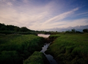 开云体育直播-勇士对阵上海队，米切尔发挥堪称完美，诠释现代篮球的艺术