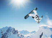 开云下载-关键先生霍勒迪！灰熊鏖战辽宁，决胜时刻见真章