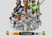 开云体育官网-赛道上的新秩序，皮亚斯特里领军迈凯伦横扫索伯车队