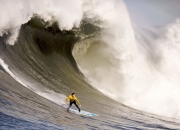 开云体育在线-关键先生福克斯，北京队力克深圳队的背后故事