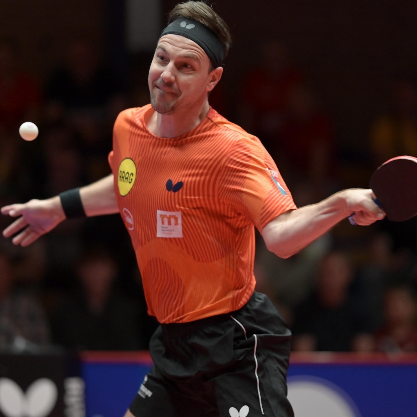 比利时乒乓球队横扫日本乒乓球队，波尔惊艳世界的简单介绍