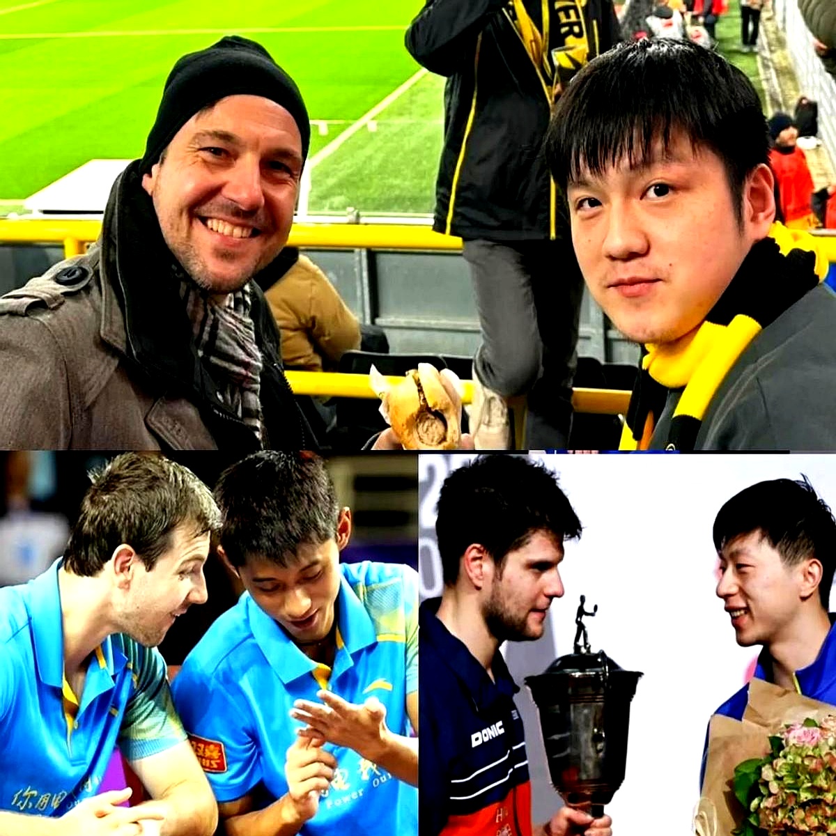 比利时乒乓球队横扫日本乒乓球队，波尔惊艳世界的简单介绍