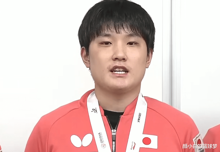 英格兰队逆转奥地利队,张本智和刷新纪录 英格兰队逆转奥地利队,张本智和刷新纪录