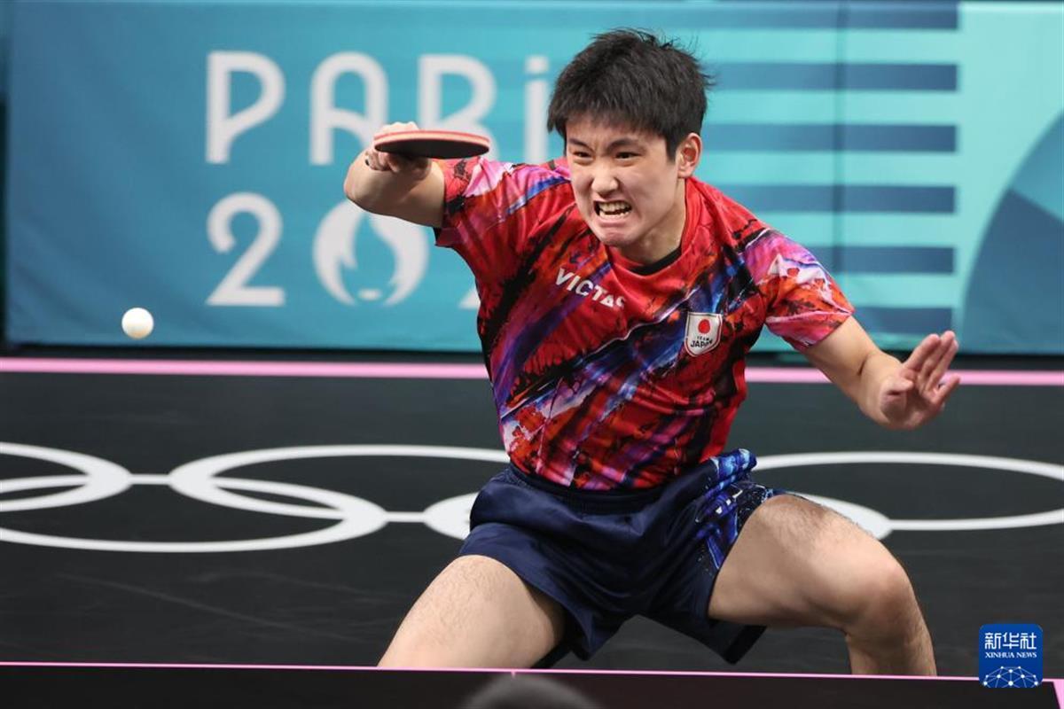 日本队险胜奥地利队，张本智和高光表现的简单介绍