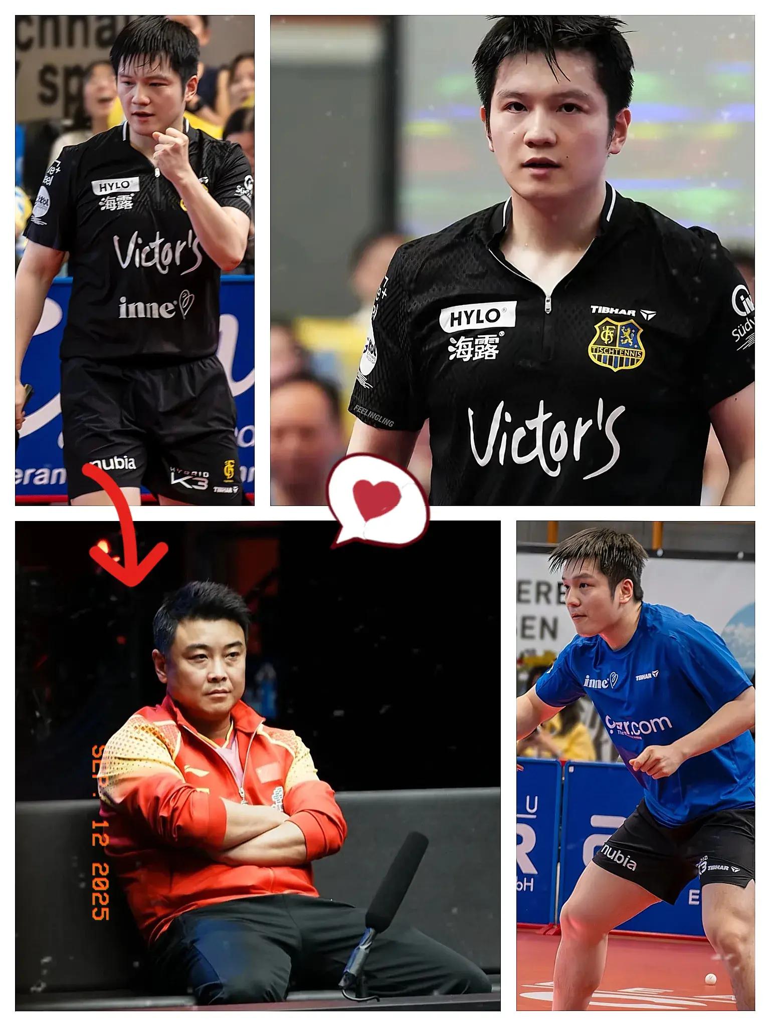 瑞典乒乓球队强势德国乒乓球队，王皓打破历史纪录的简单介绍