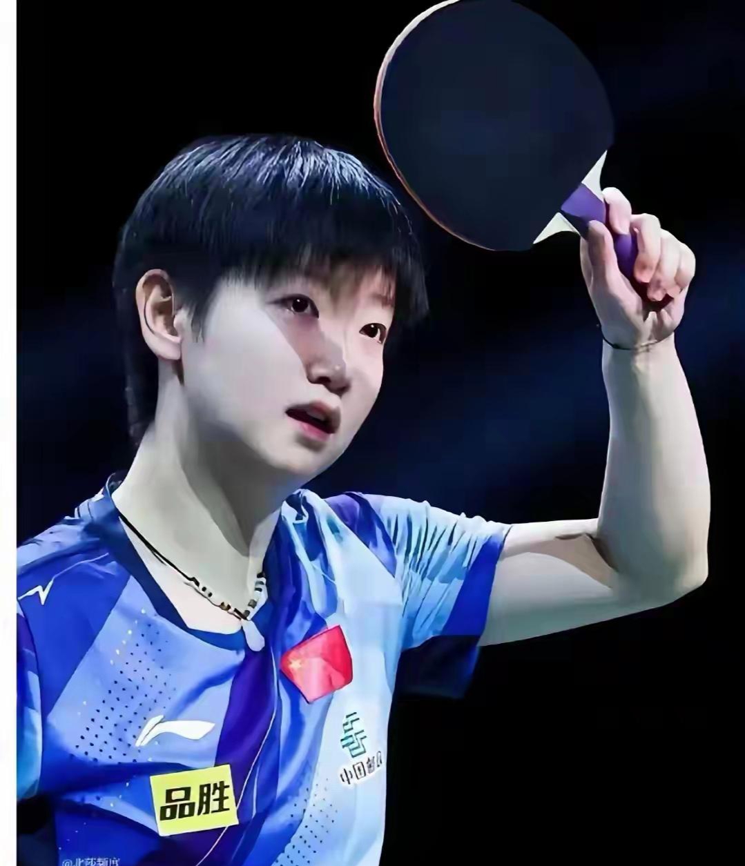 中国羽毛球队血洗韩国羽毛球队，马琳惊艳世界的简单介绍